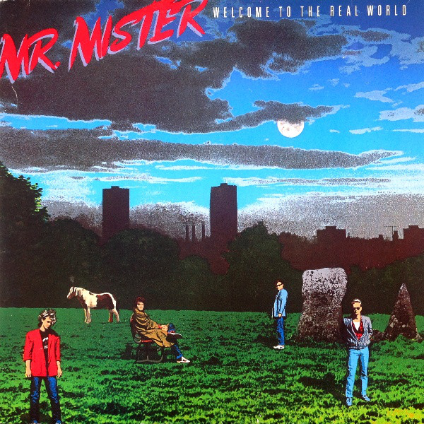 MR.MISTER - WELCOME TO THE REAL WORLD